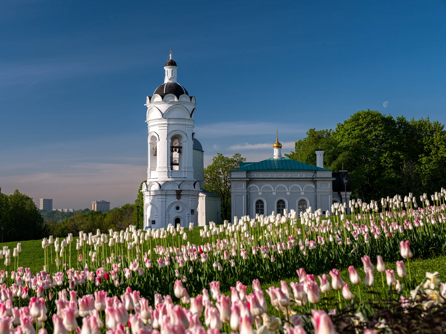 0001563_Коломенское7