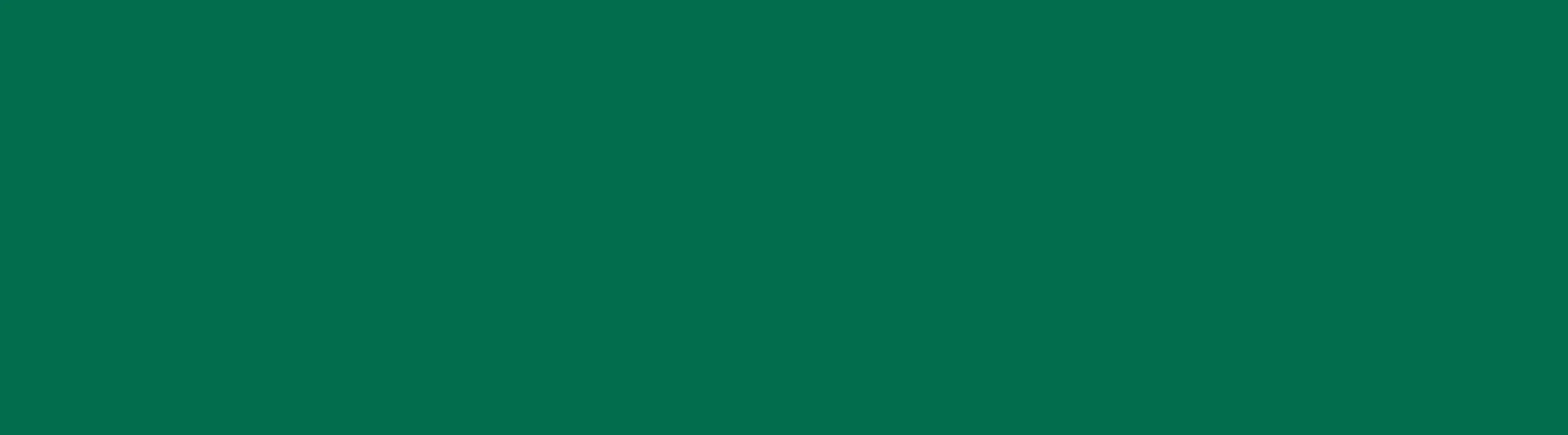 Frame 2147238437