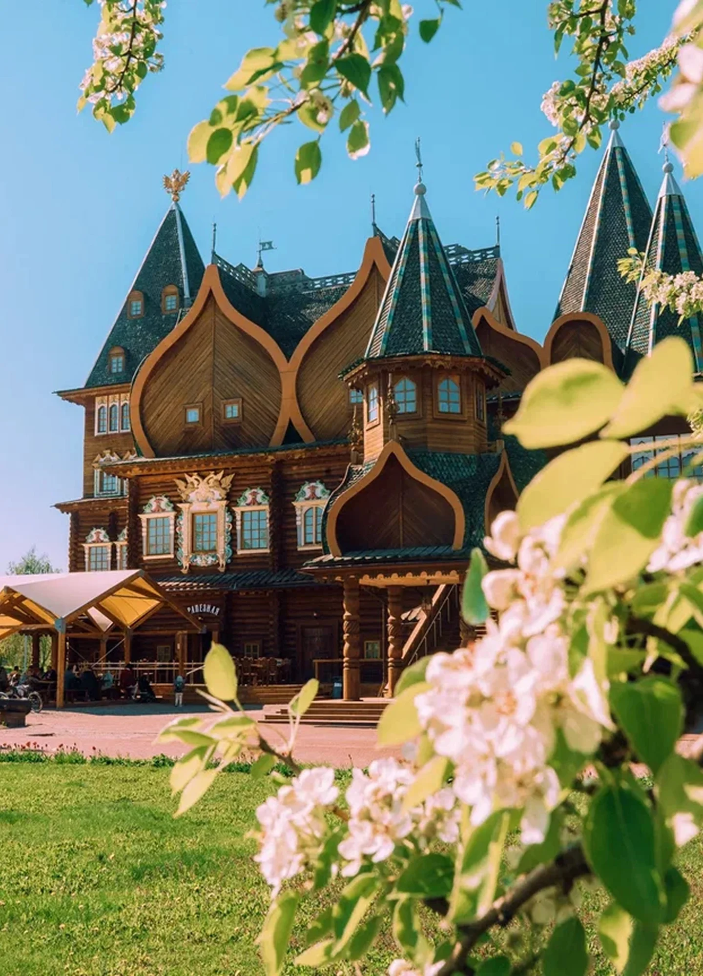 Коломенское тюльпаны