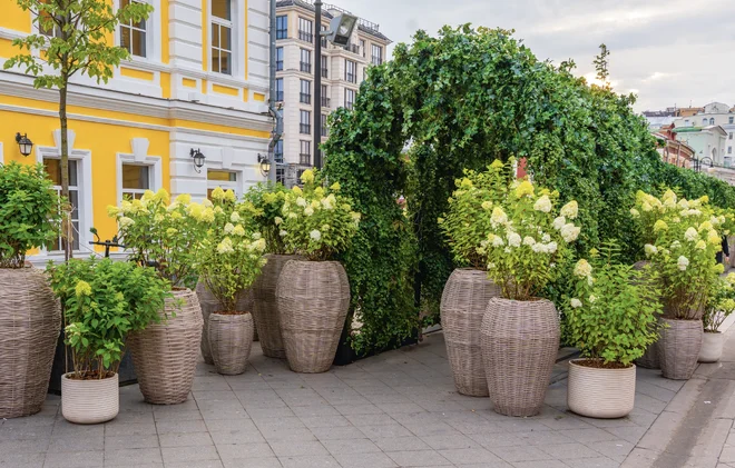 Снимок экрана 2026-05-21 в 22.58.51