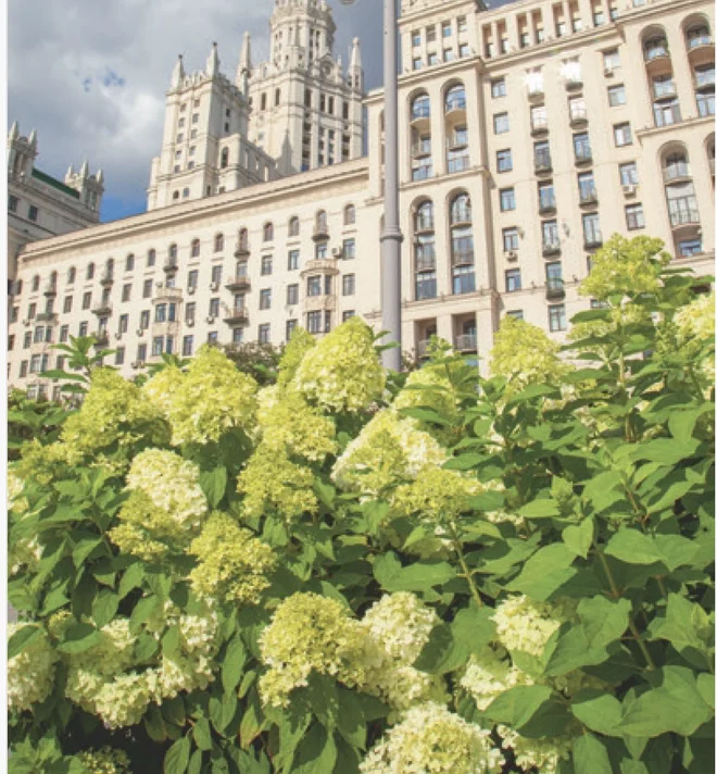 Снимок экрана 2026-05-21 в 23.04.25