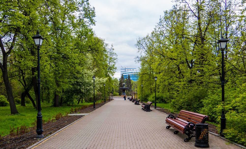 Дендропарк