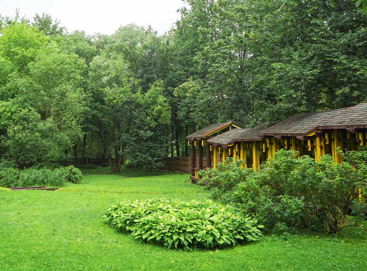 Китайский сад