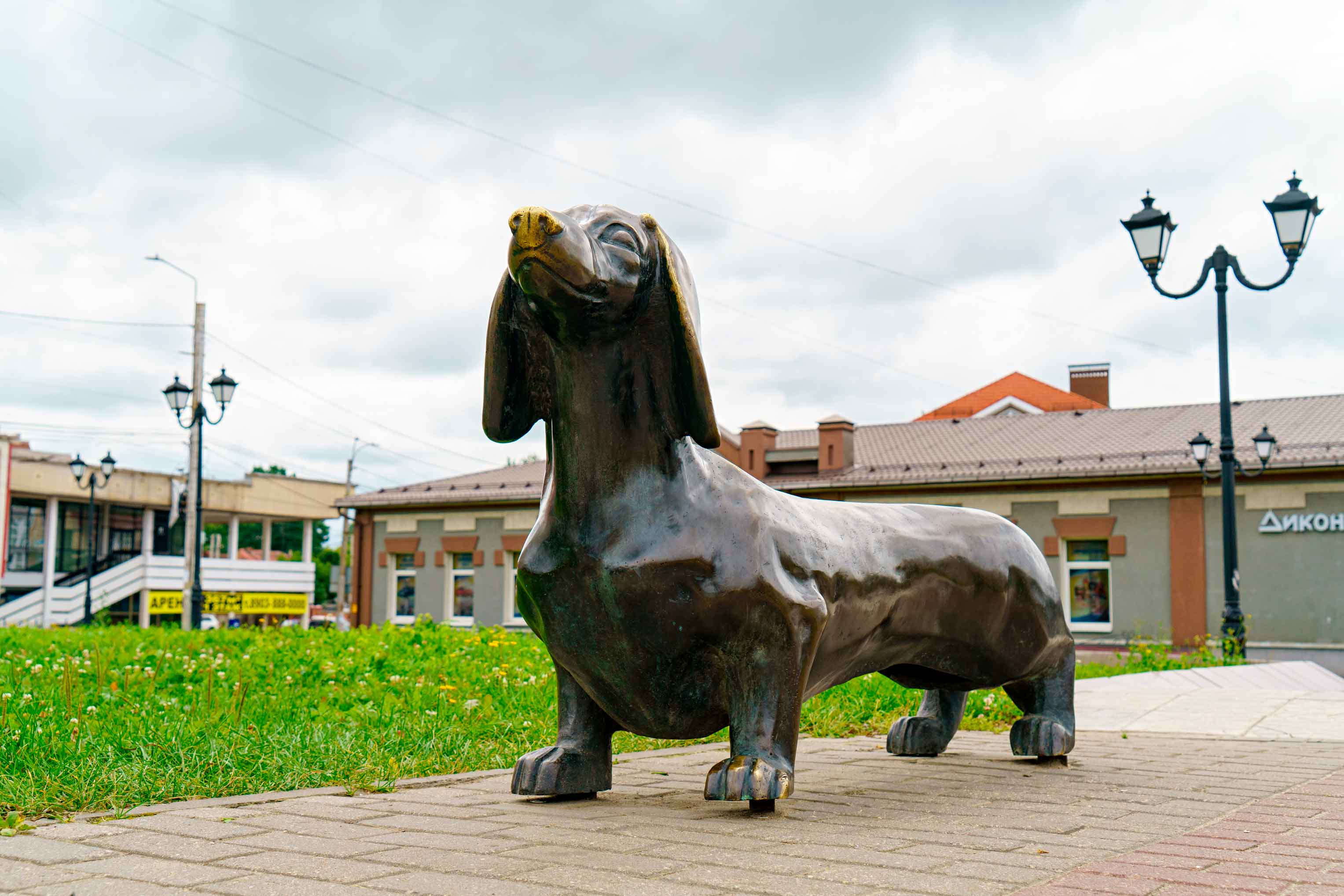 Памятник таксе