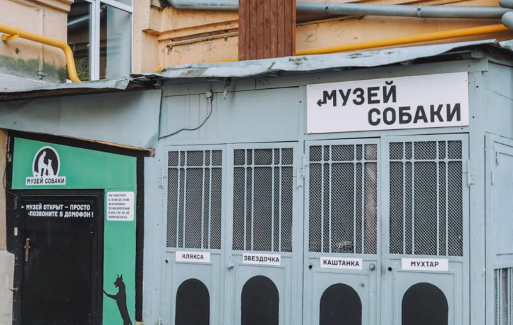 Музей собаки