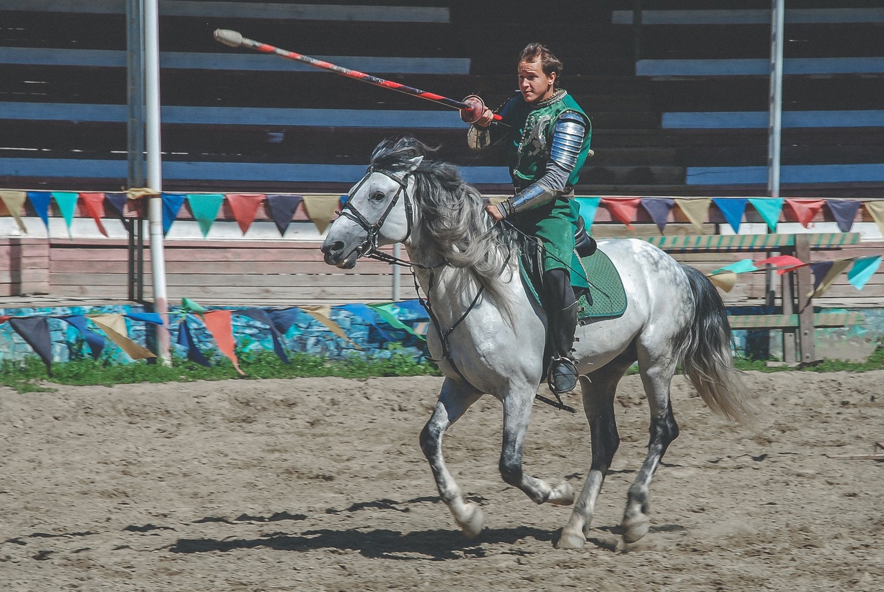 Рыцарский турнир