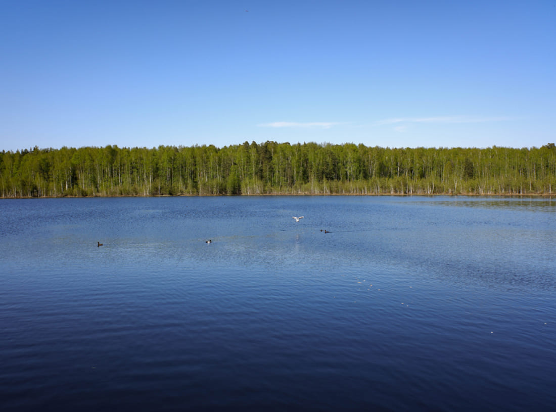 Пляж озера Бабошкино