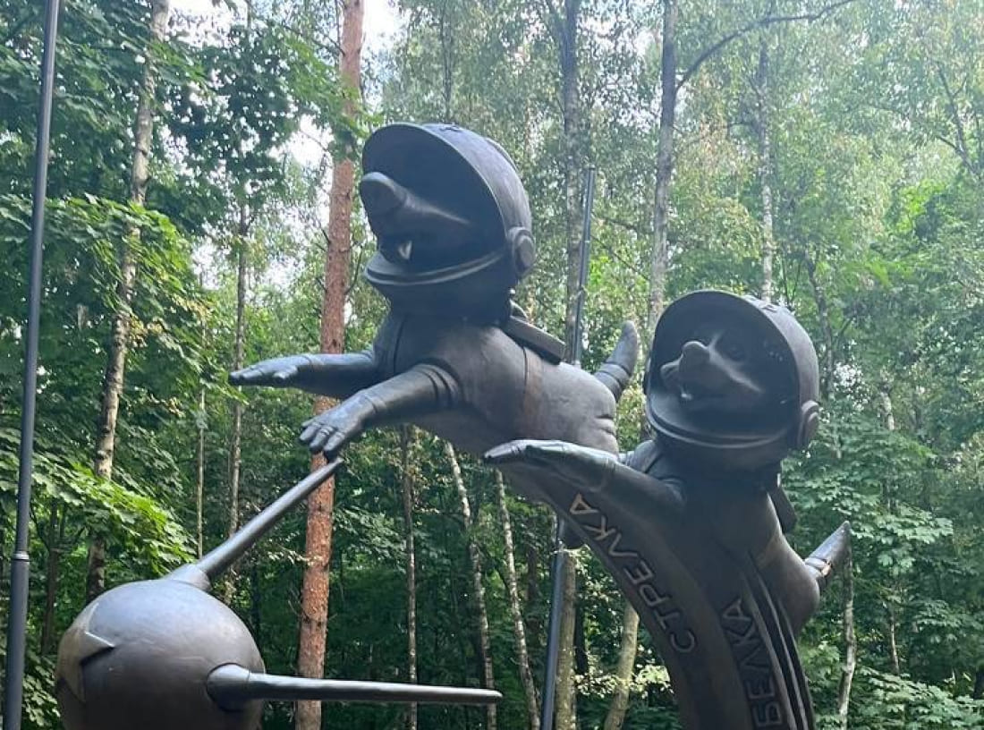 Томилинский лесопарк