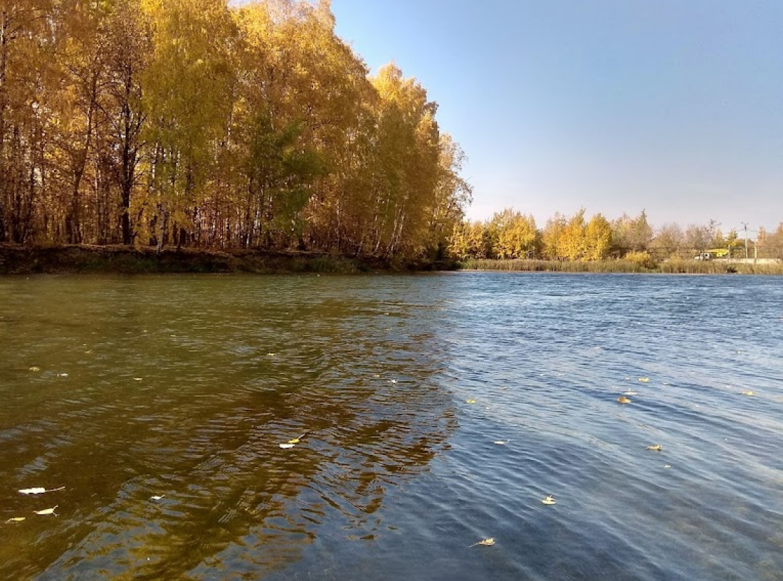 Пляж в Автозаводском парке культуры и отдыха