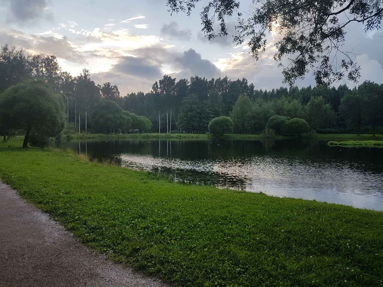 Парк «Сосновка»