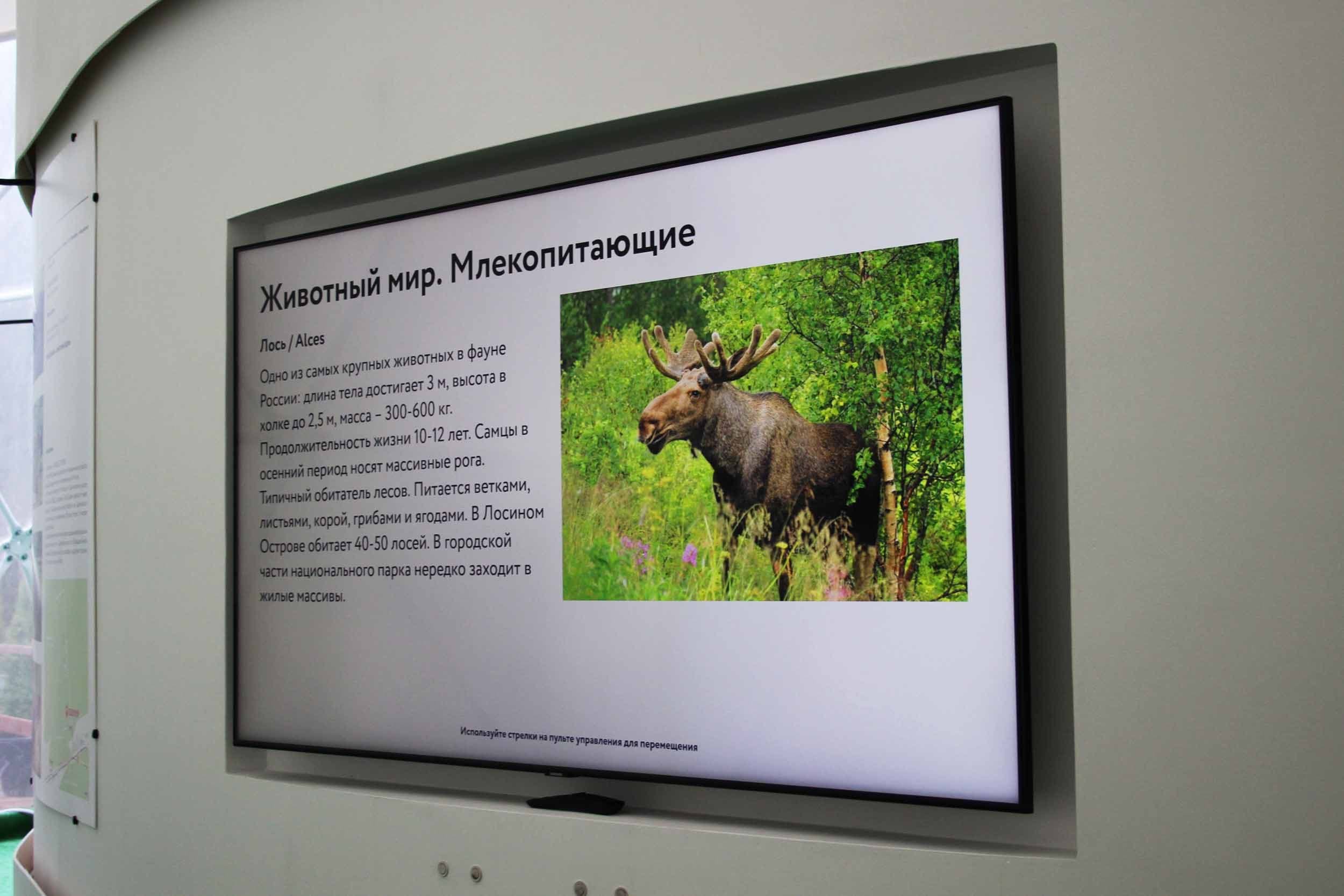 Мультимедийная экспозиция в Эколого-просветительском комплексе «Лосиная Биостанция»