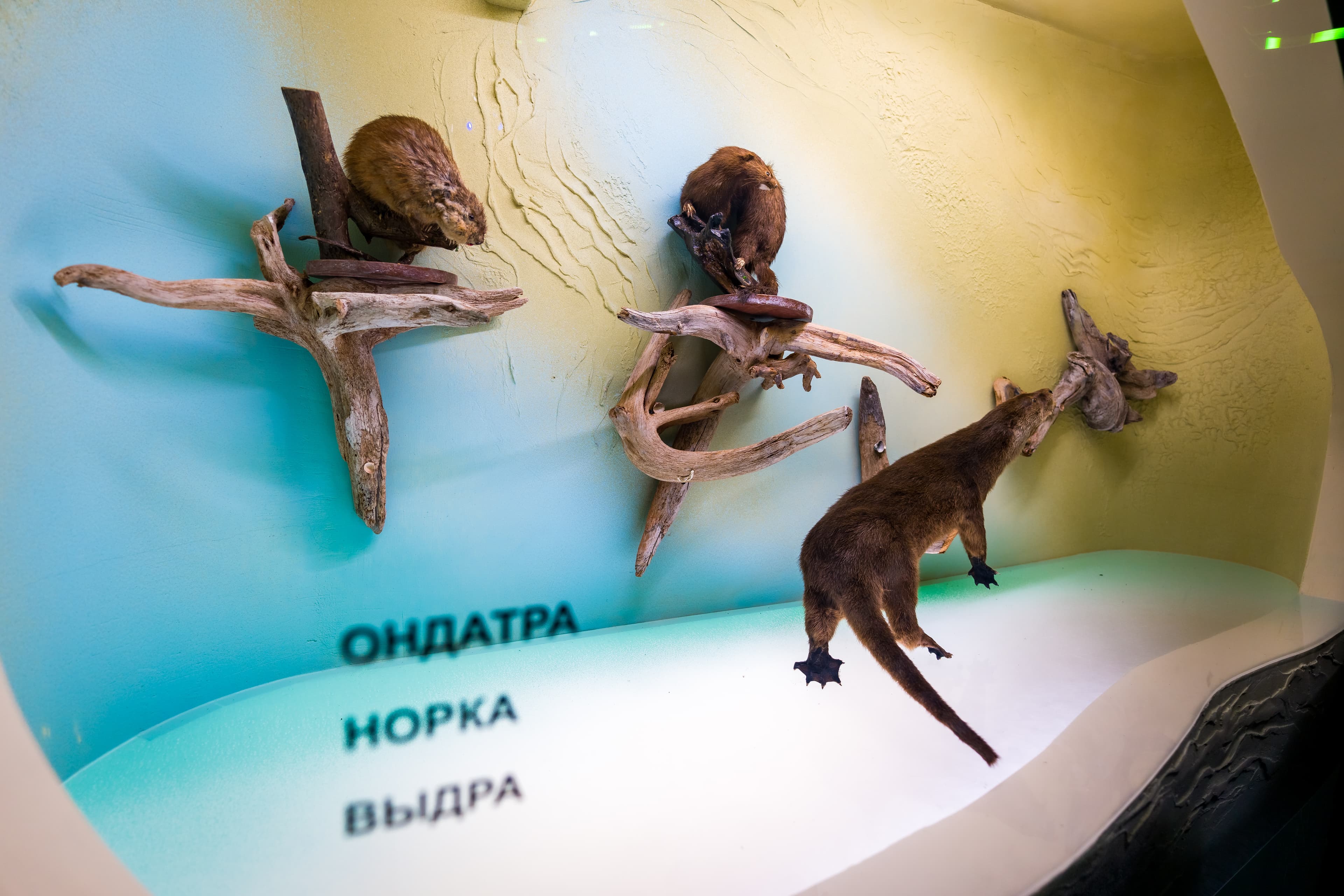 Посещение Этнокультурного центра в Белоярске
