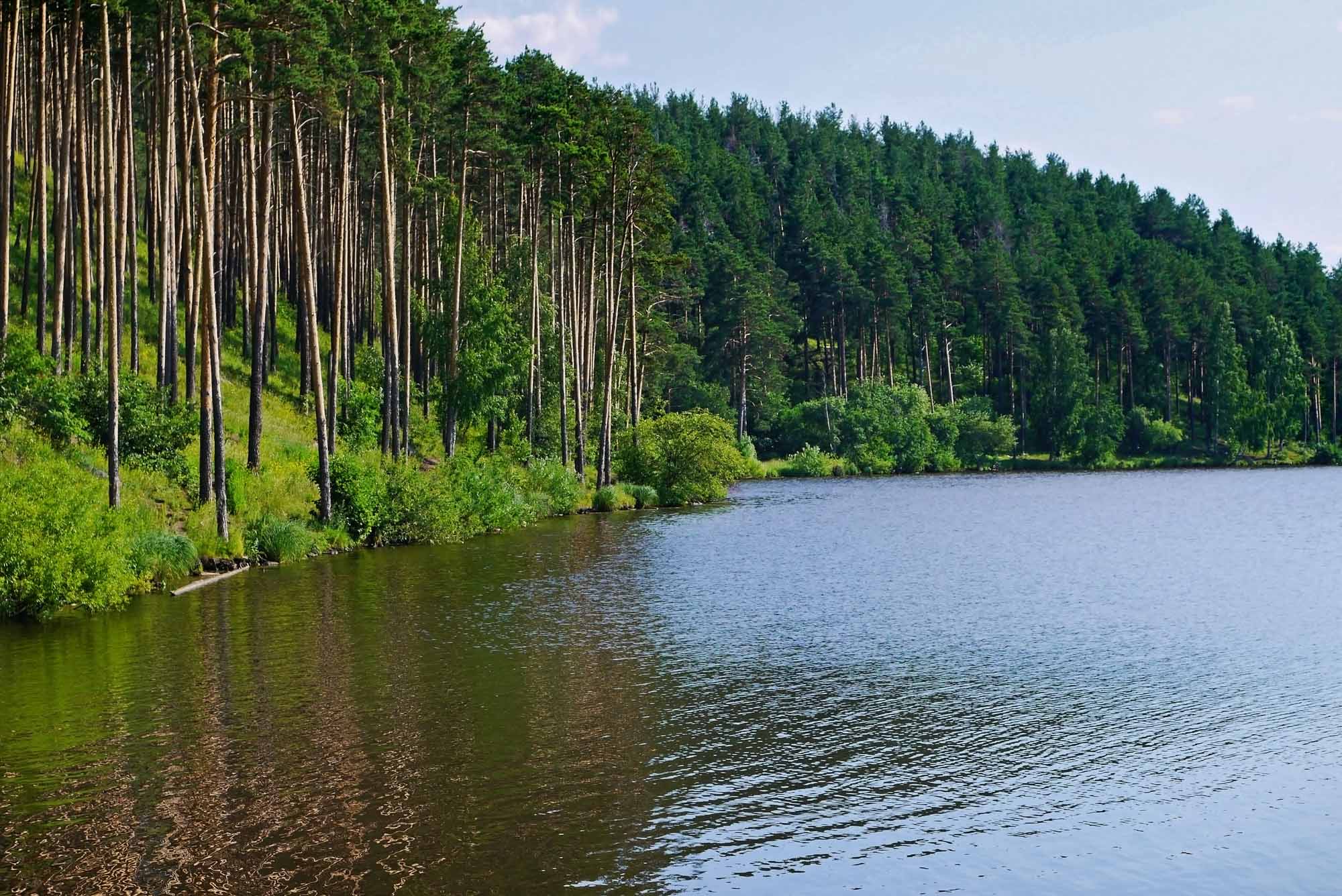 Уктусский лесопарк
