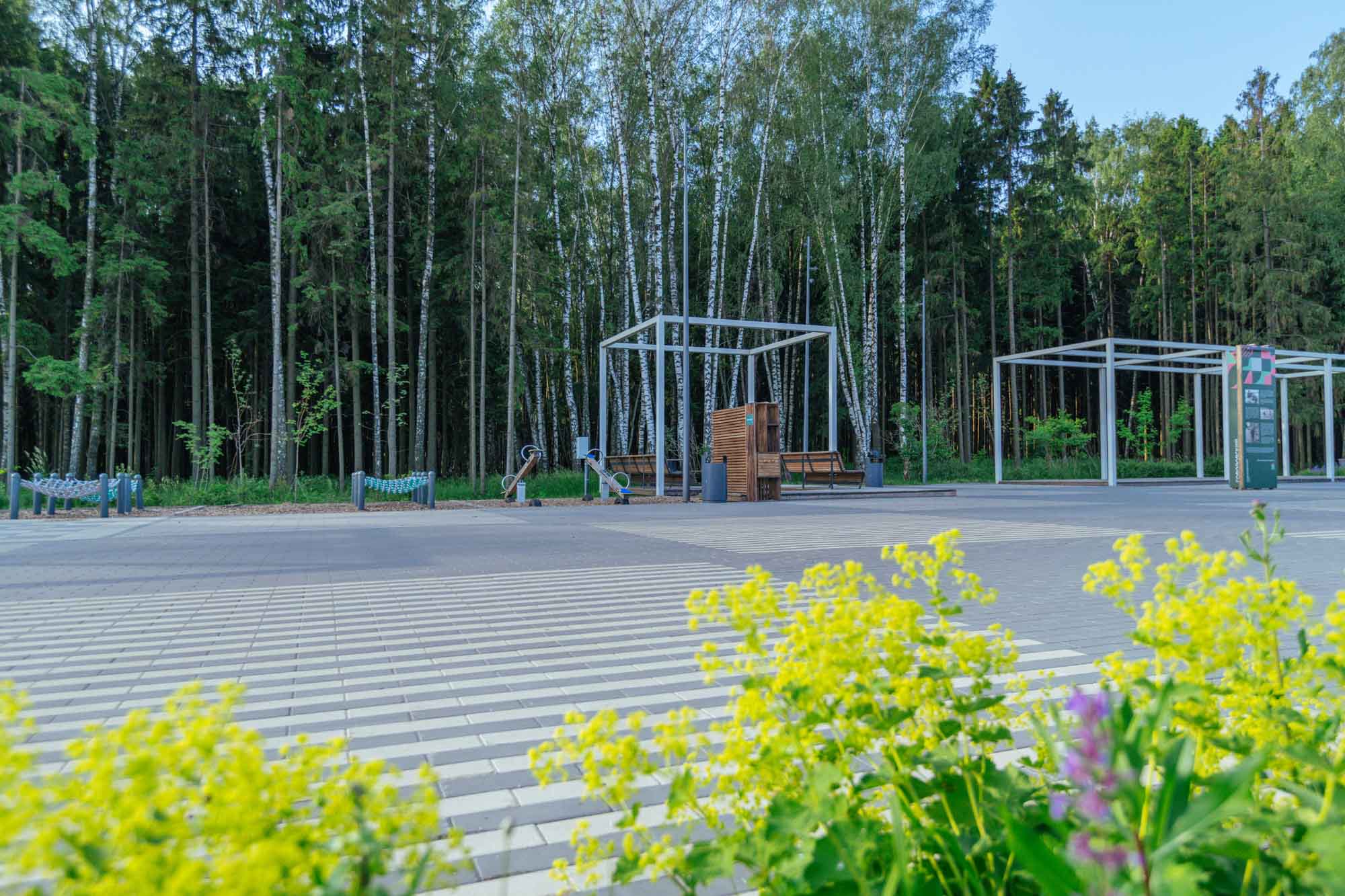 Парк «Говоровский лес»