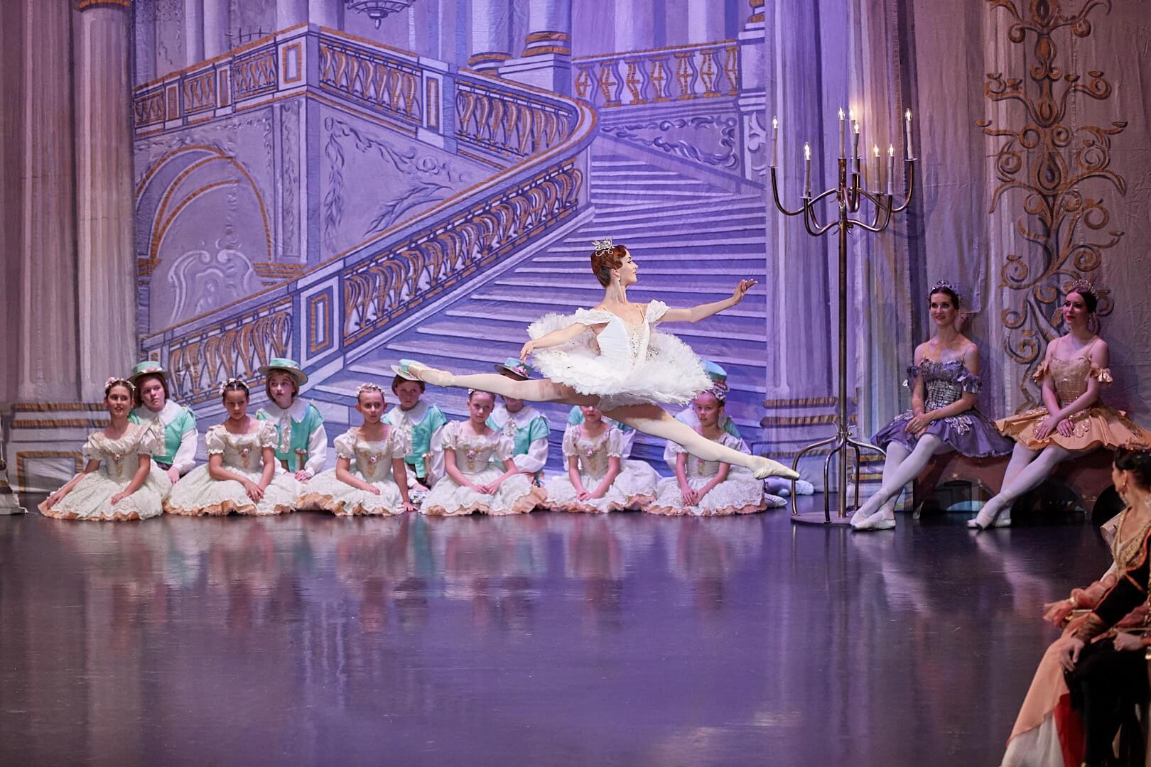 Спящая красавица