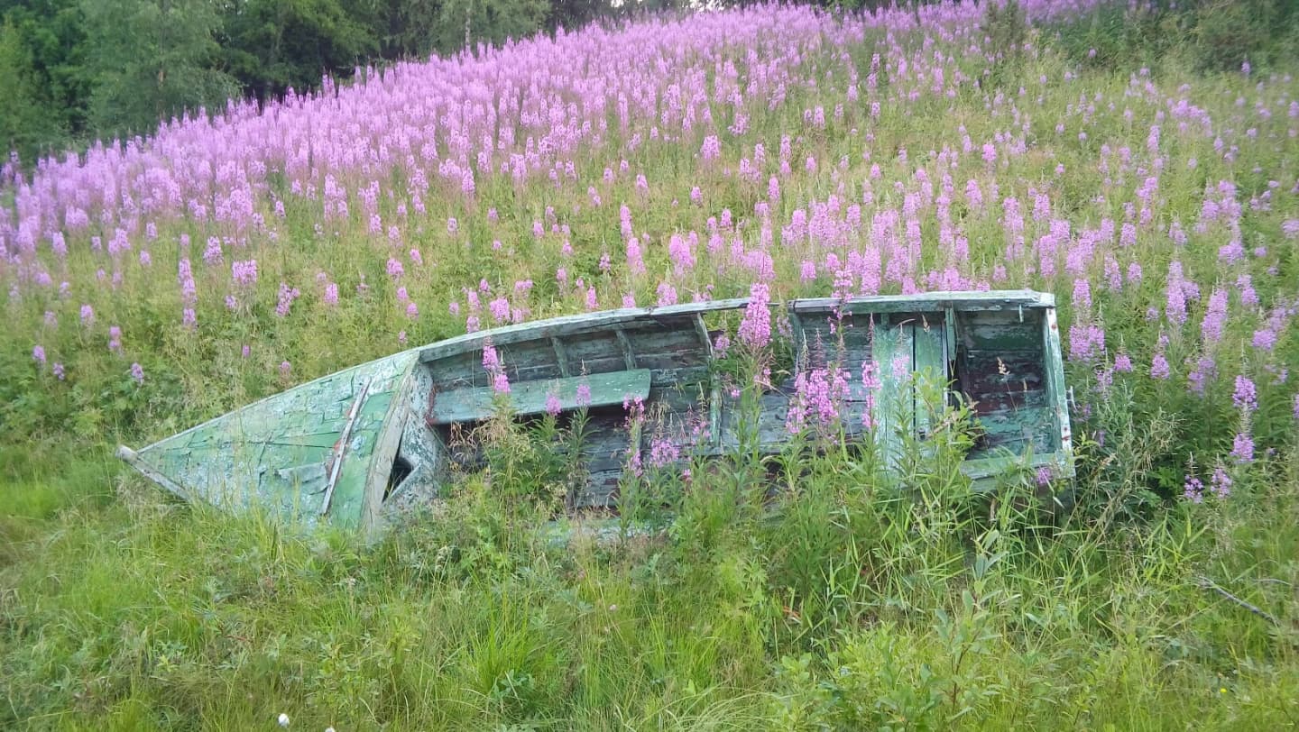 Эколого-краеведческая тропа по старинной деревне Умба
