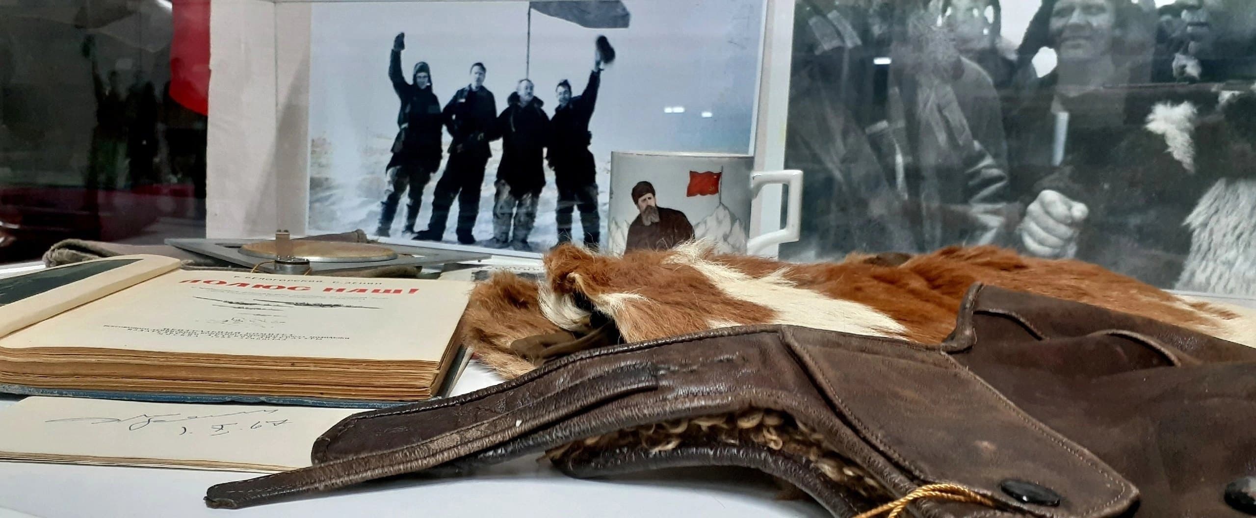 Как медведь полярным стал
