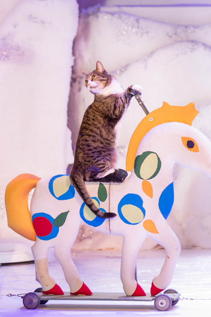 Зимняя сказка