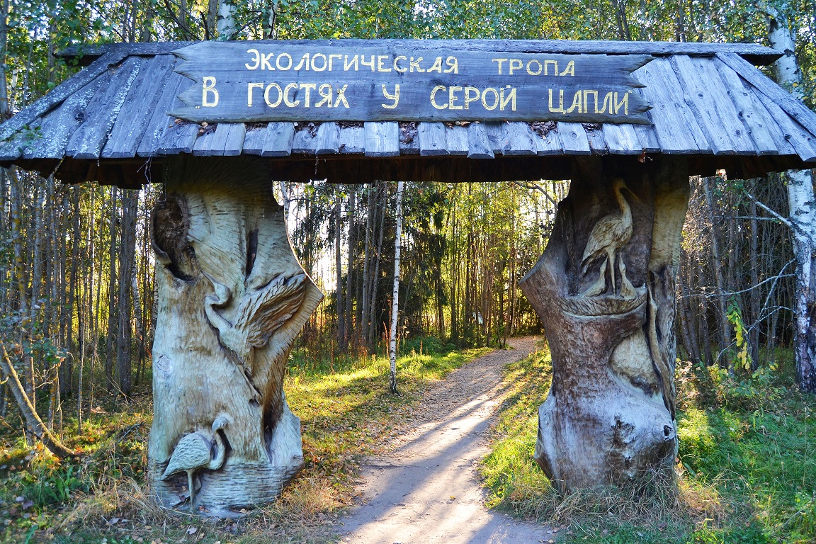 Экотропа «В гостях у серой цапли» на Плещеевом озере