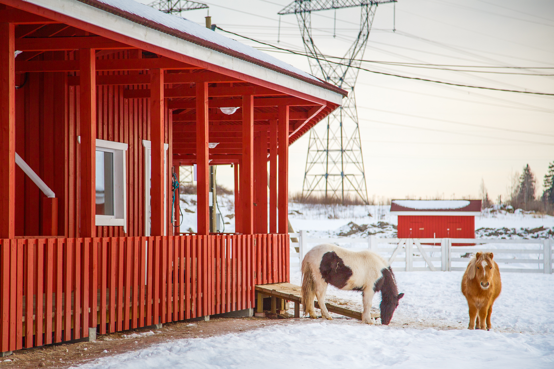 Ферма-парк «Илоранта»