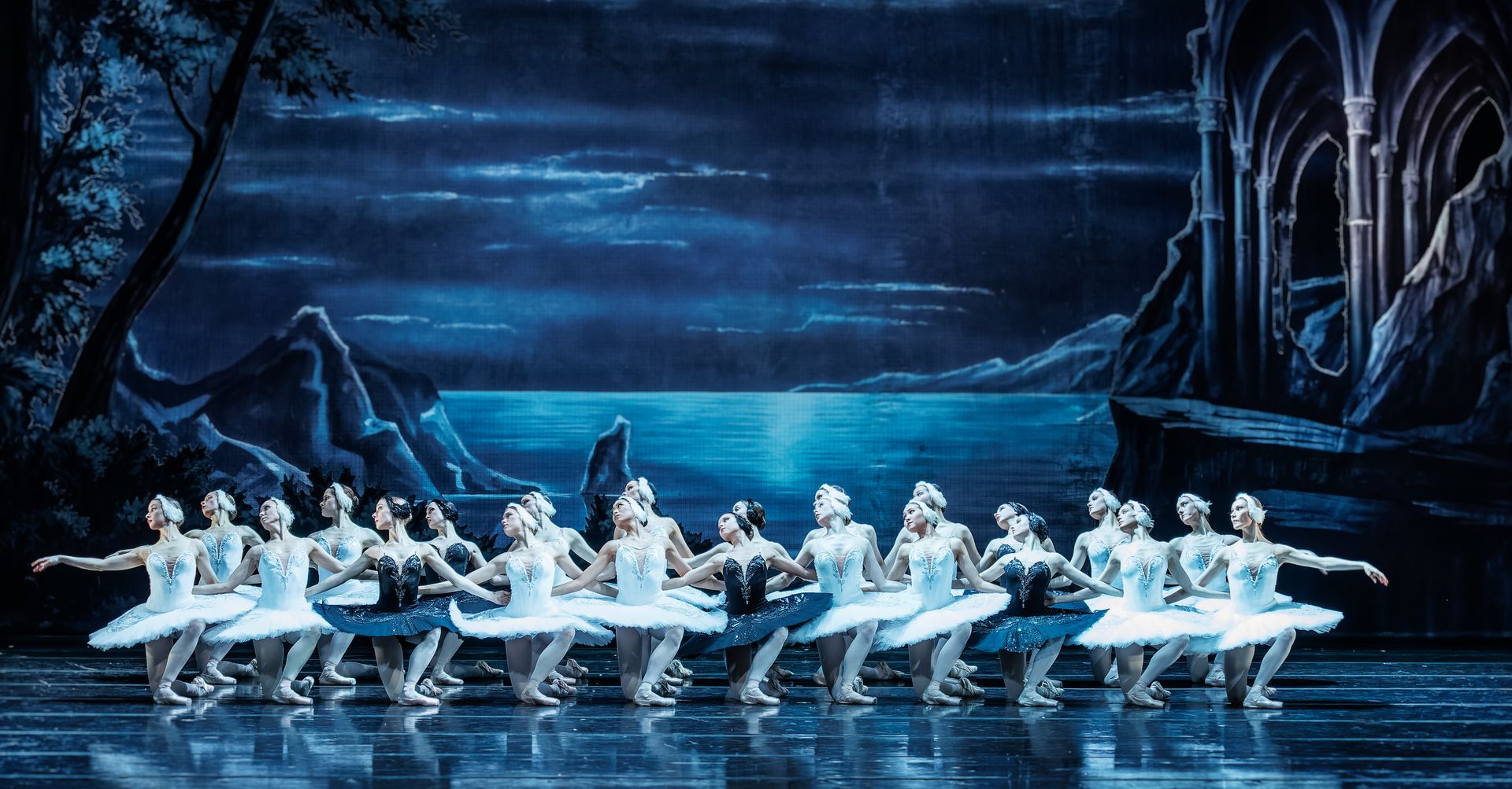 Лебединое озеро