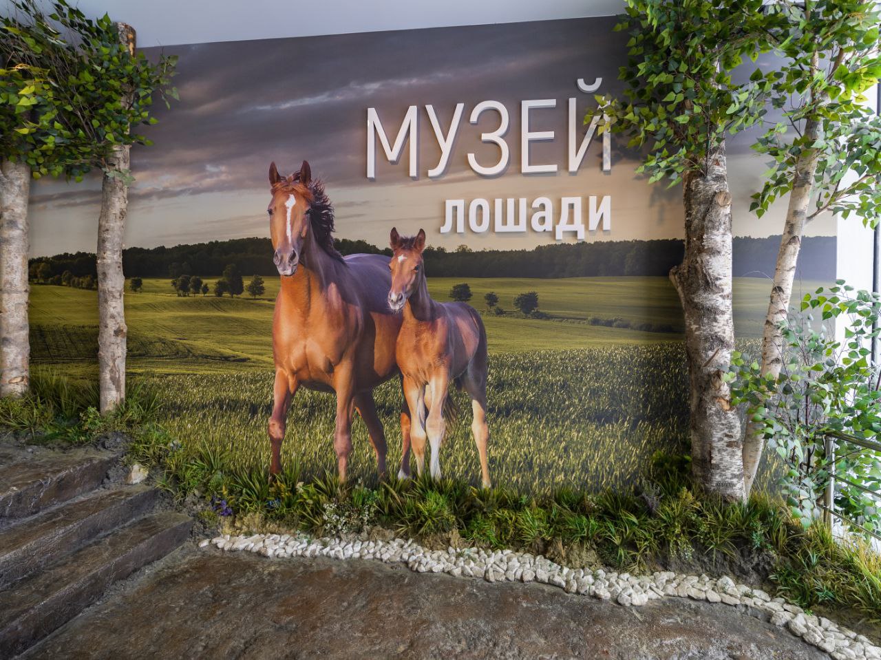Стандартная экскурсия по интерактивной экспозиции «Музей лошади»