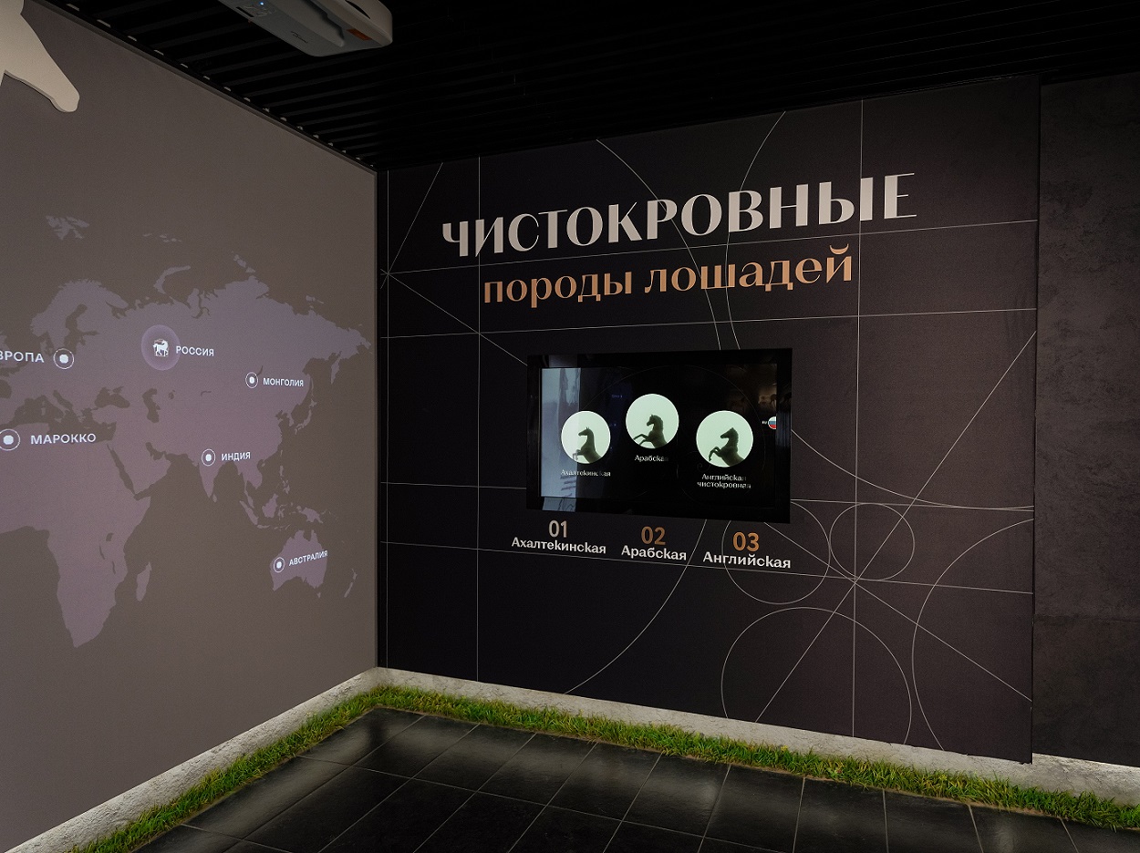Стандартная экскурсия по интерактивной экспозиции «Музей лошади»