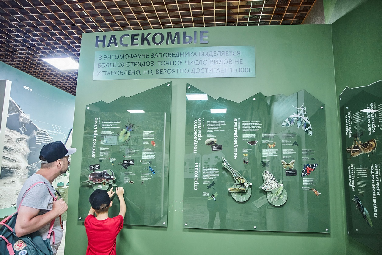 Музей Кавказского заповедника
