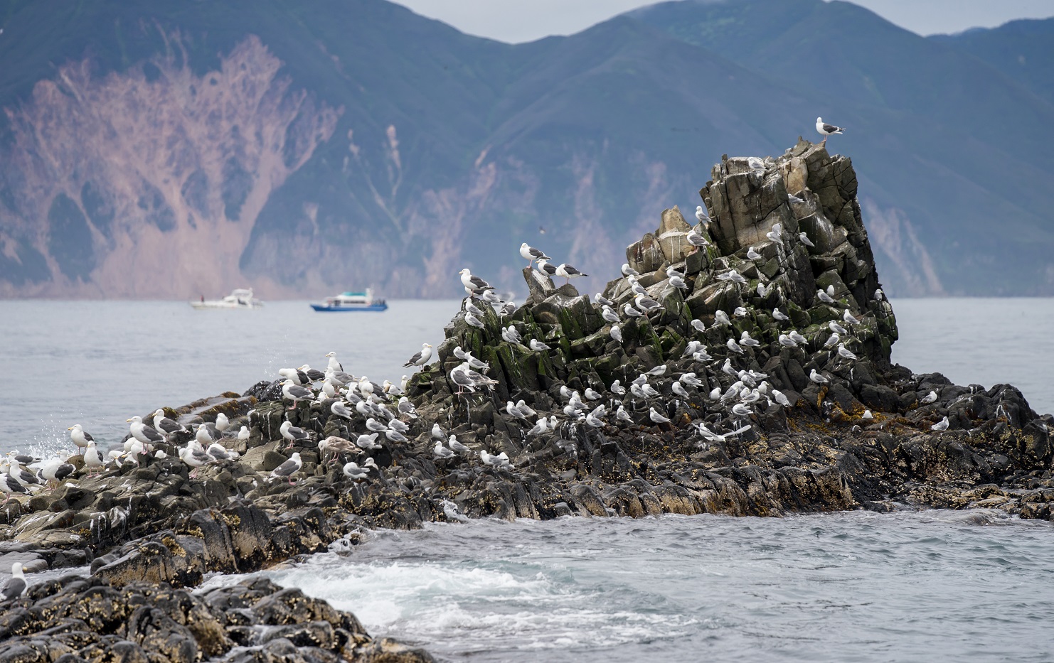 Бухта Русская