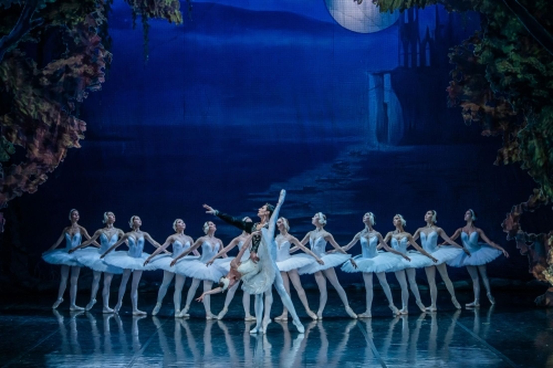 Лебединое озеро