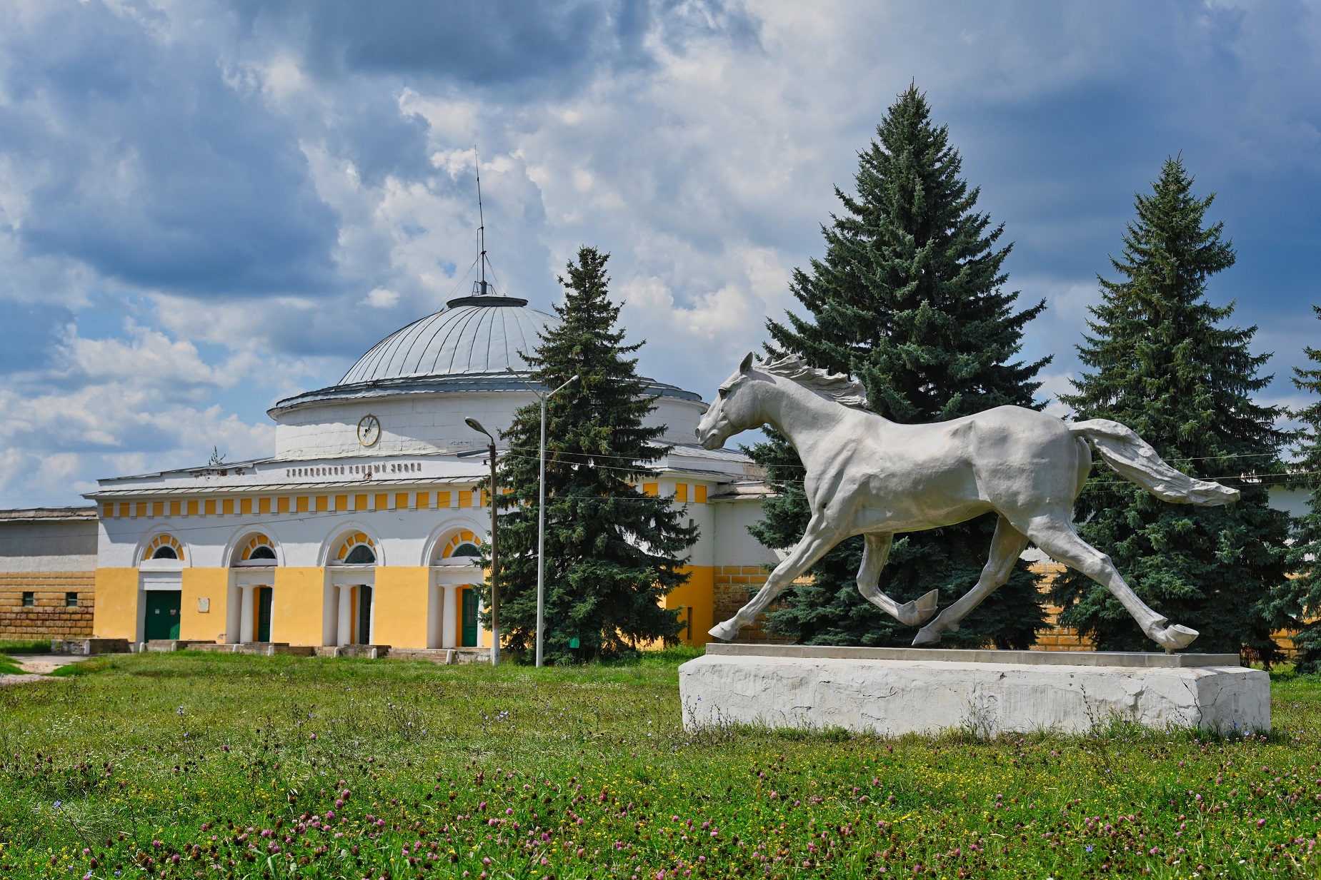 Хреновской конный завод