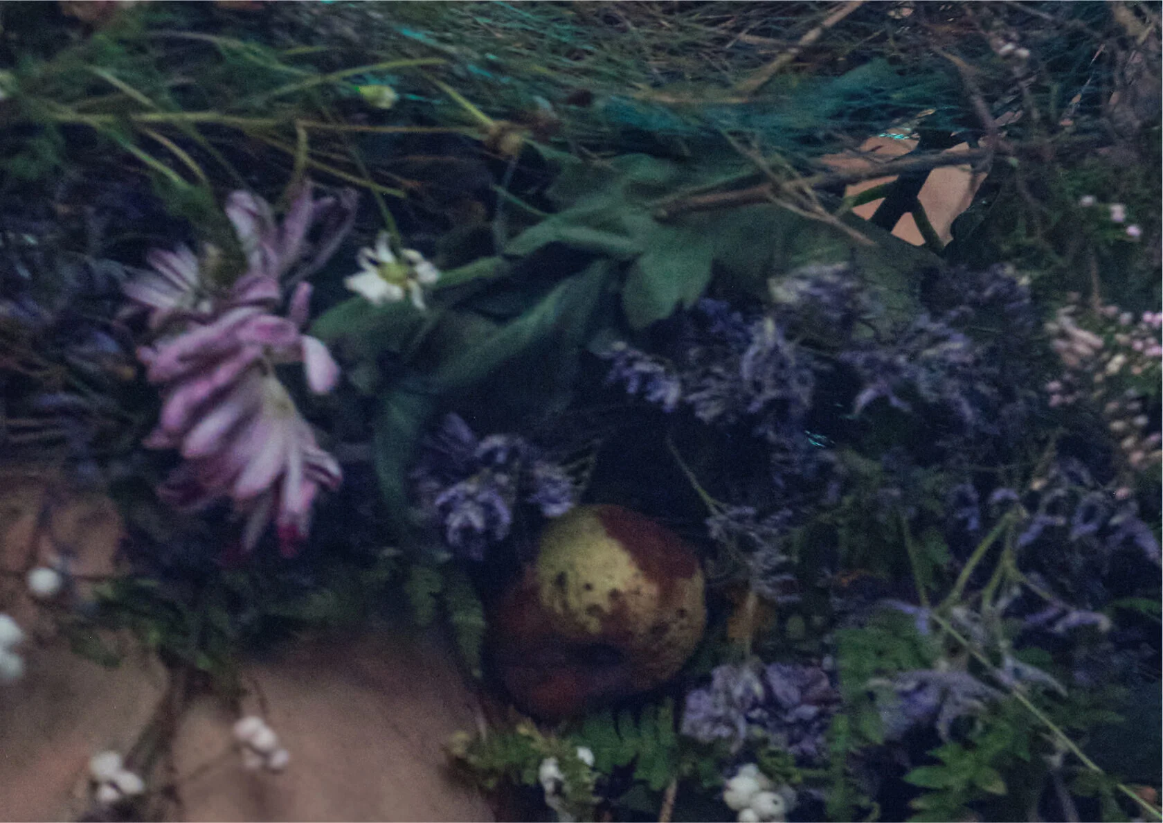 Nature_morte