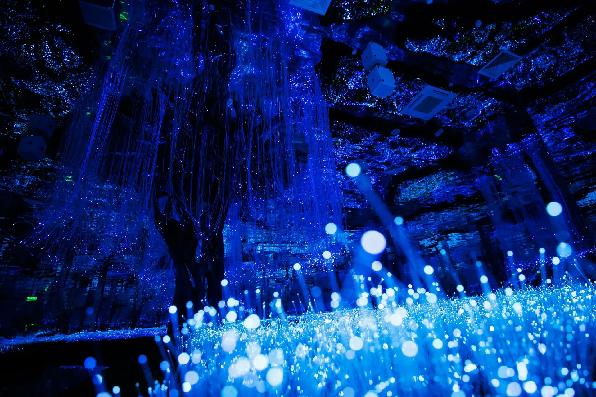 Futurione