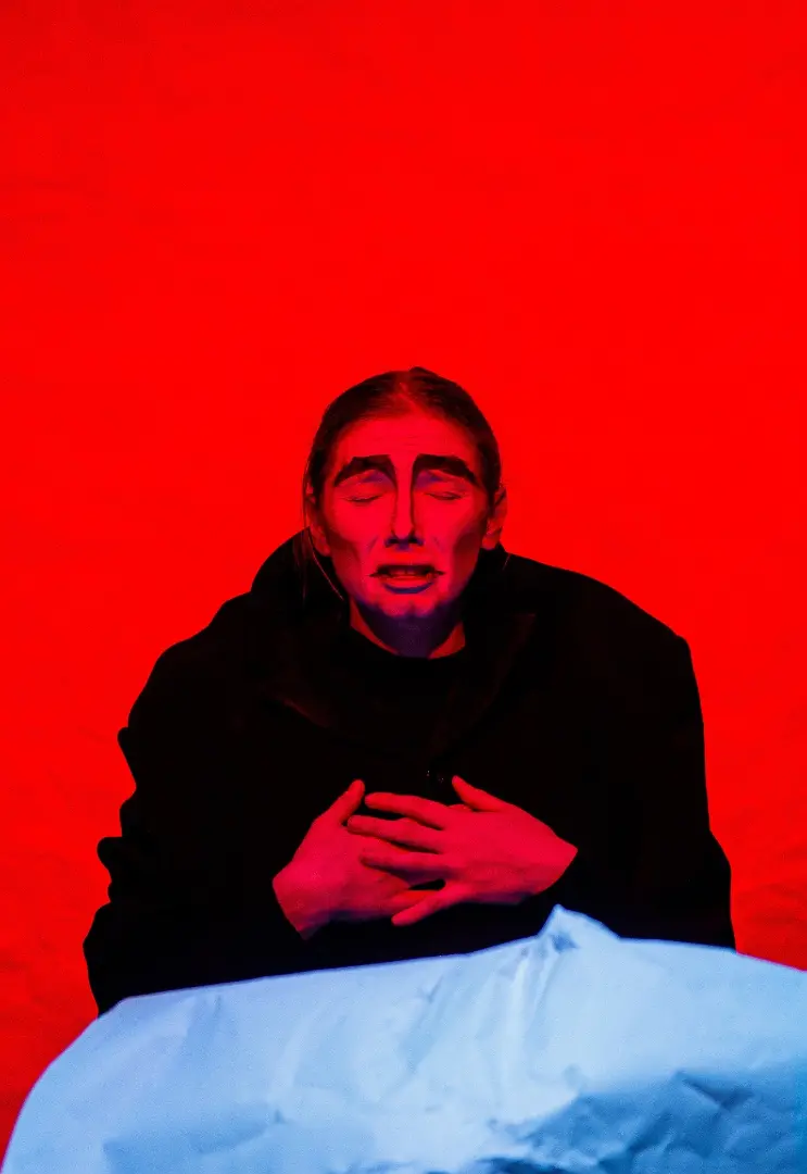 Чайка Noname
