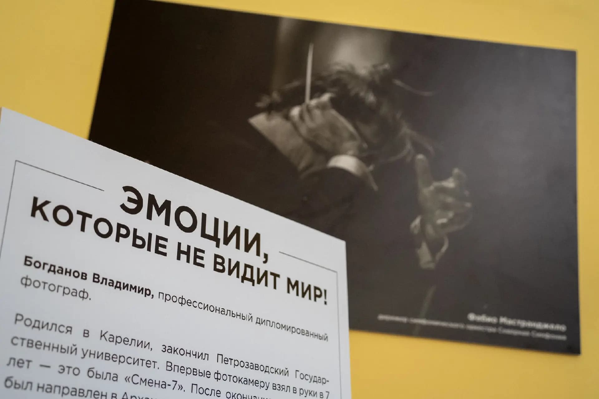 Мастер-класс «Искусство фотографии с Владимиром Богдановым»