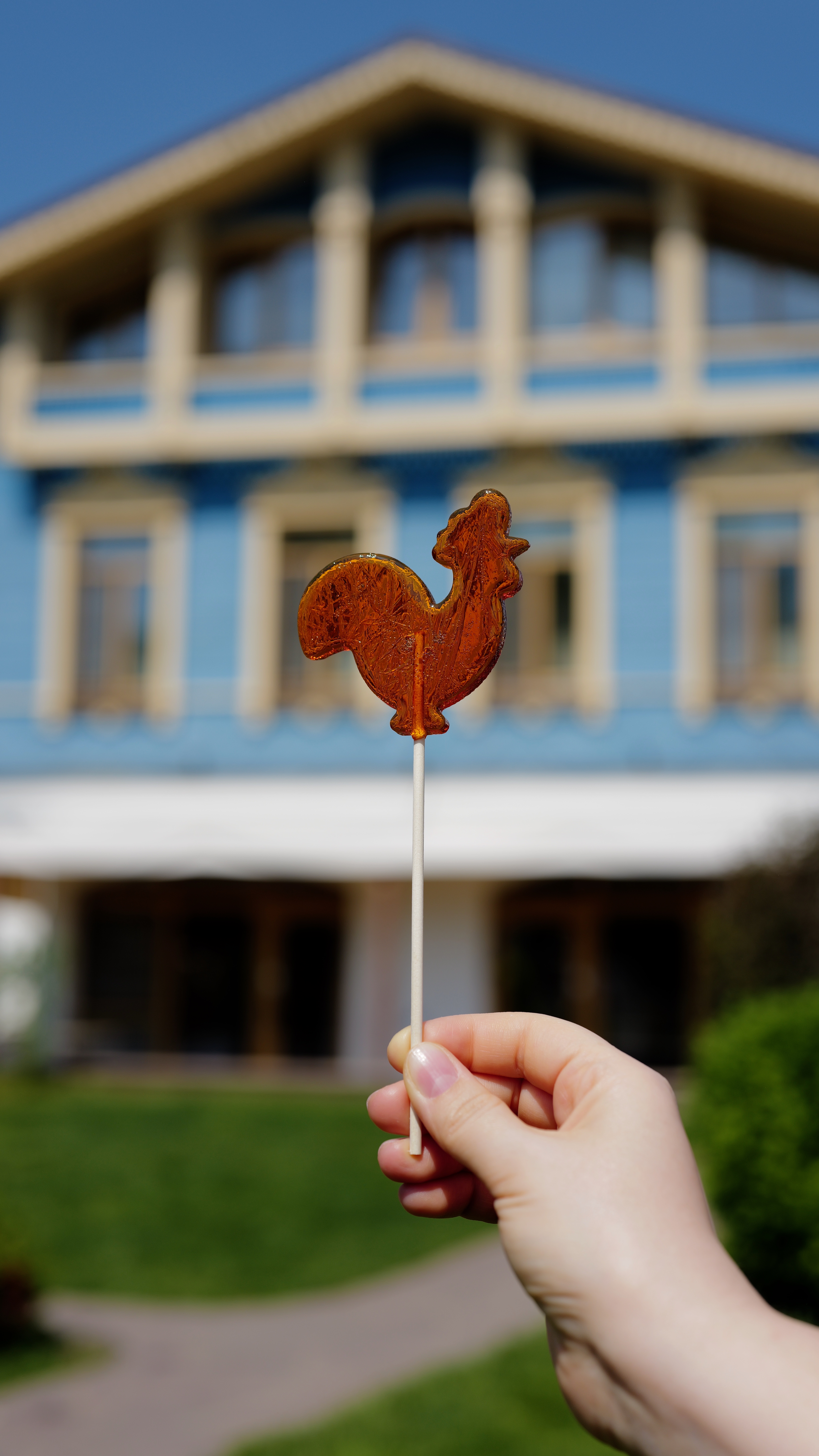Пикник с самоваром на берегу реки