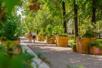 Петровский бульвар