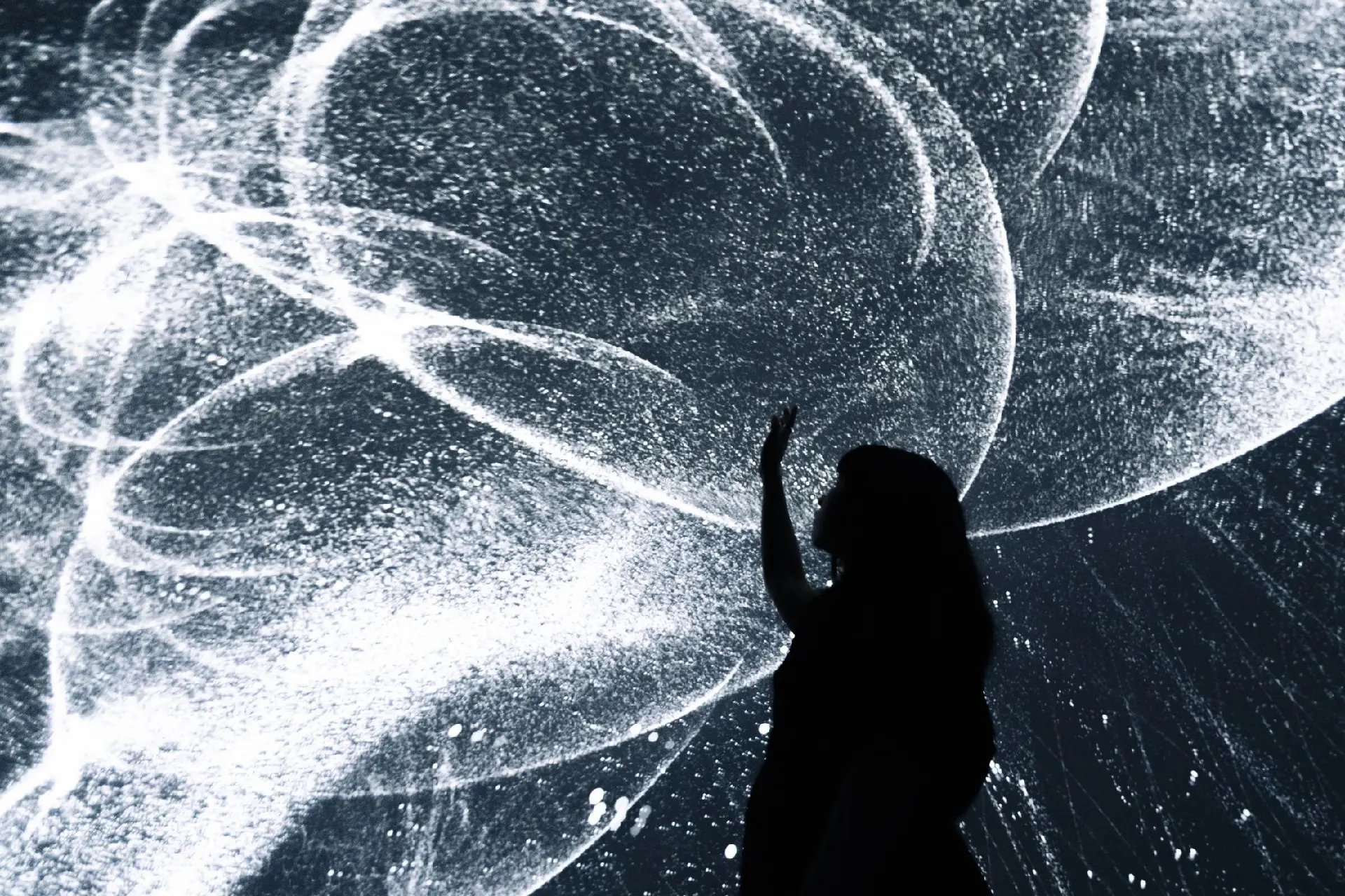 Intervals Exhibition: Траектории интервалов