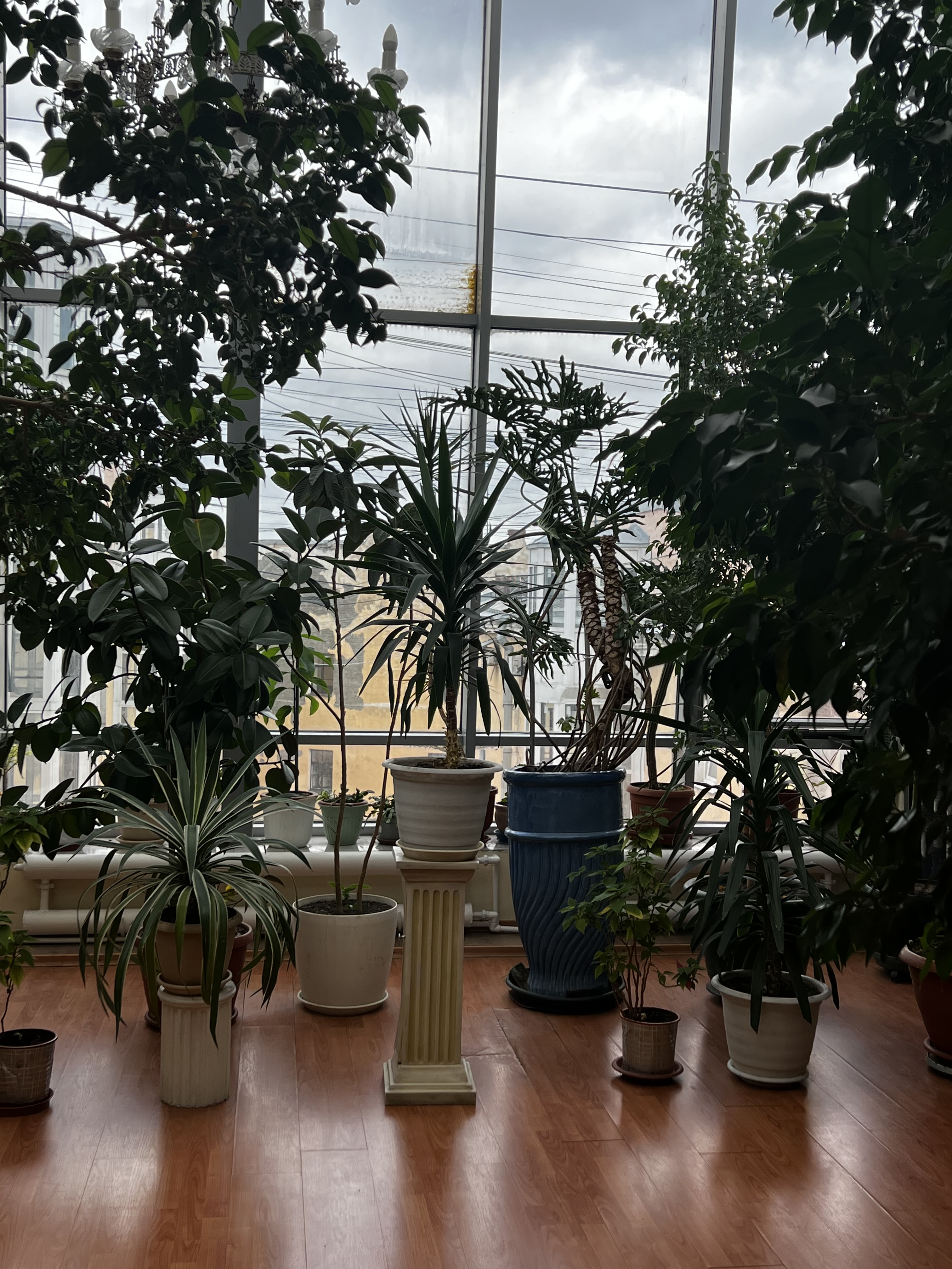 Фотогалерея Карла Буллы