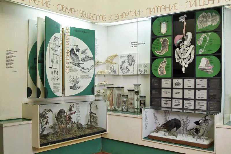 Питание, пищеварение и обмен веществ