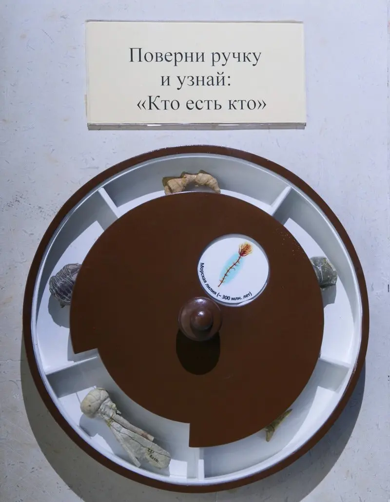 Развитие органического мира