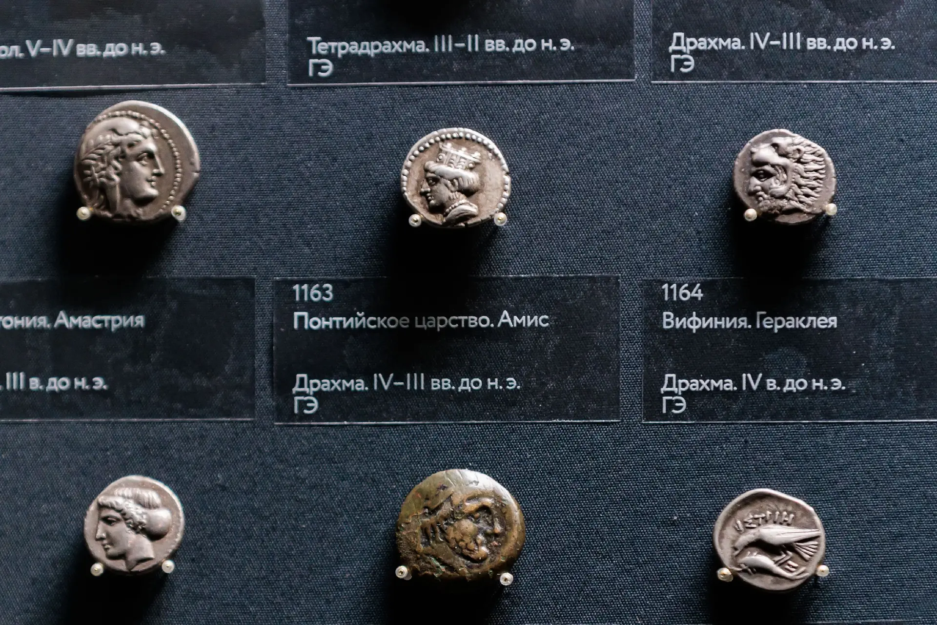 Боги, цари и варвары. Монеты Боспорского царства