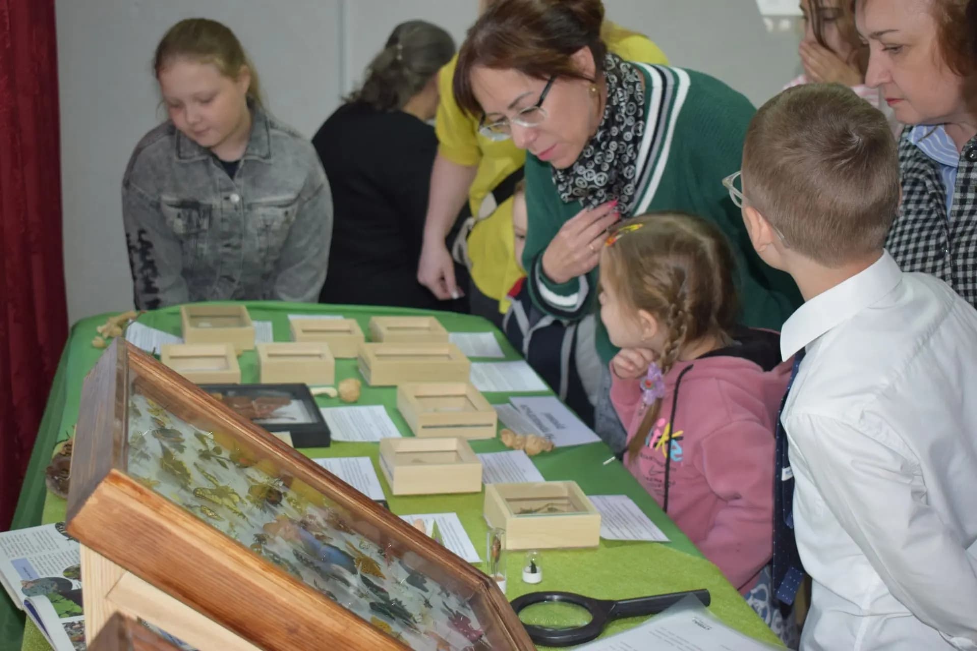 Выставка «Энтомологическая коллекция»