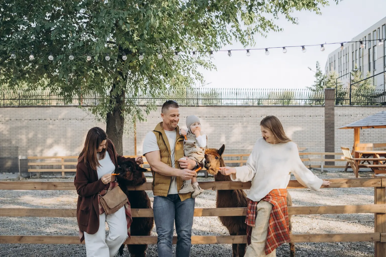 Парк Альпак «Симба» в Москве: погладь, угости и сделай фото с милыми животными!⠀