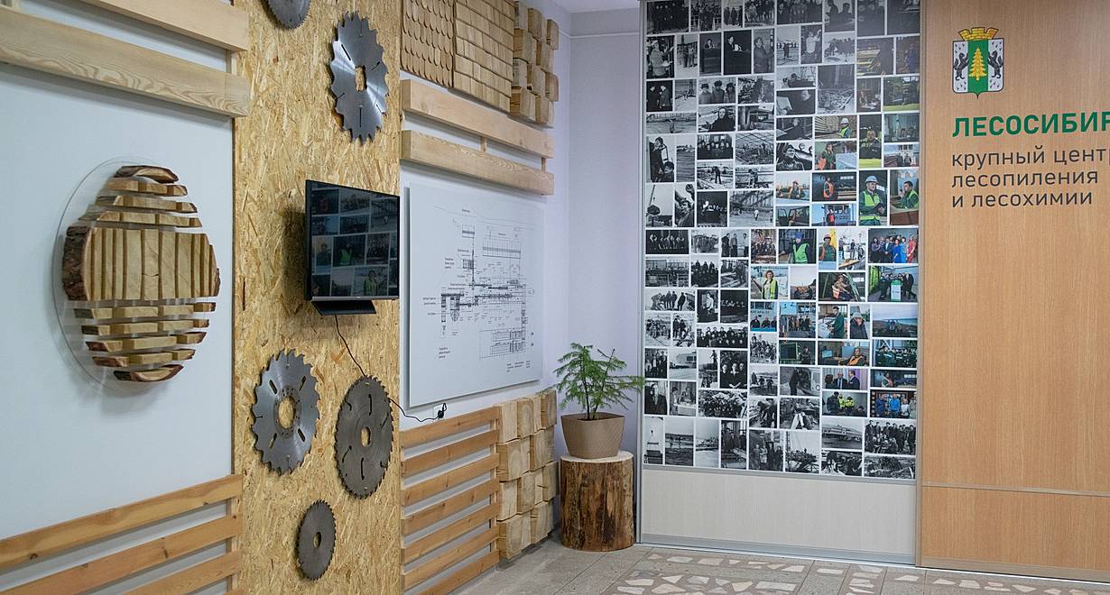 Экспозиция «Город леса»