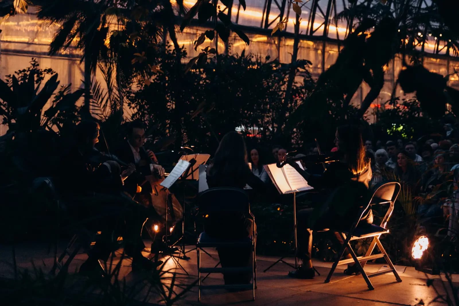Магия свечей. Вселенная Ханса Циммера: от Гладиатора до Интерстеллар