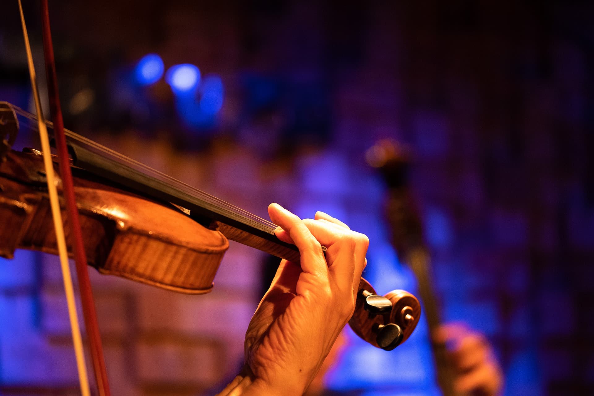 ТФО. Портреты