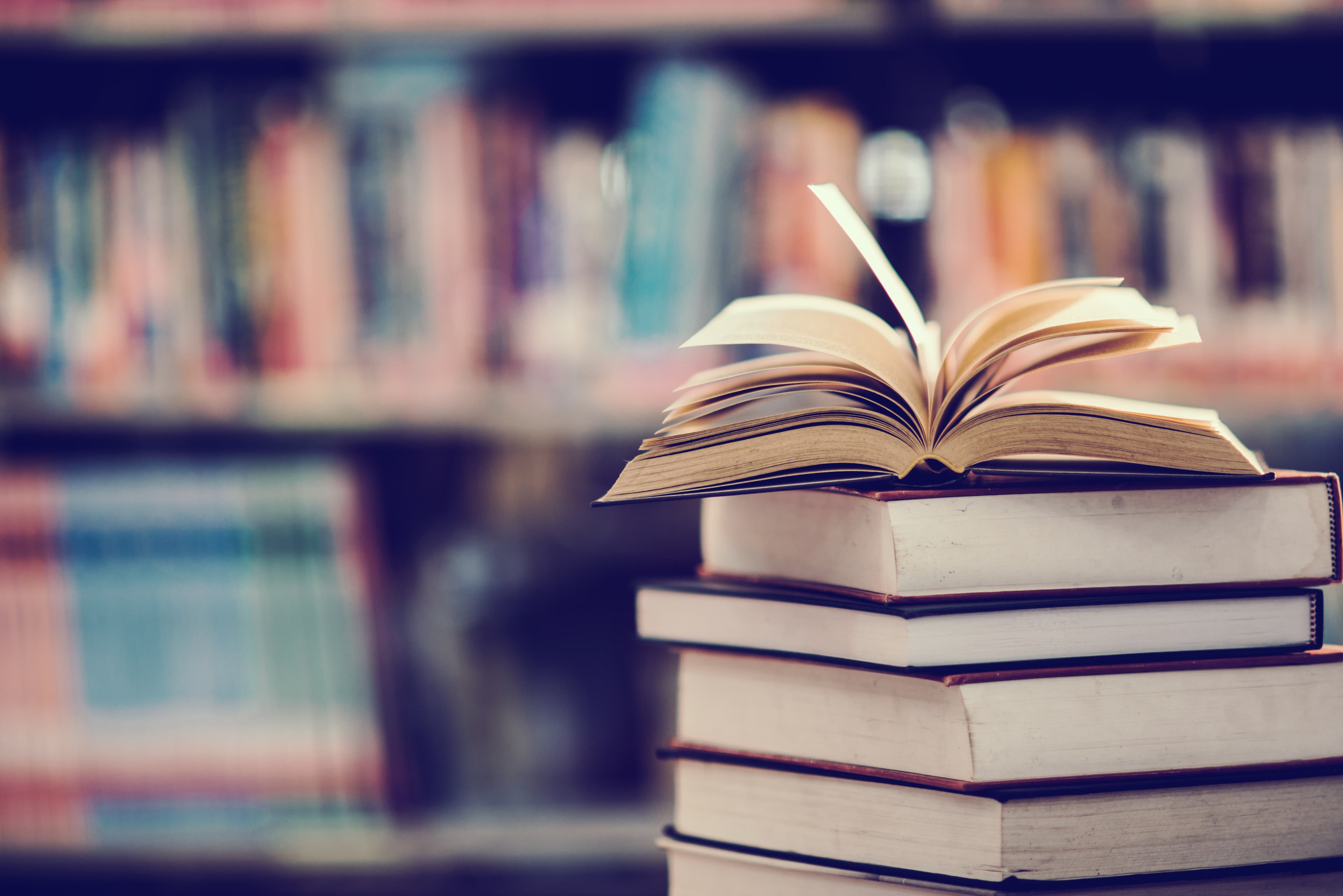 Обсуждаем книгу Айрис Вольф «Проблески»