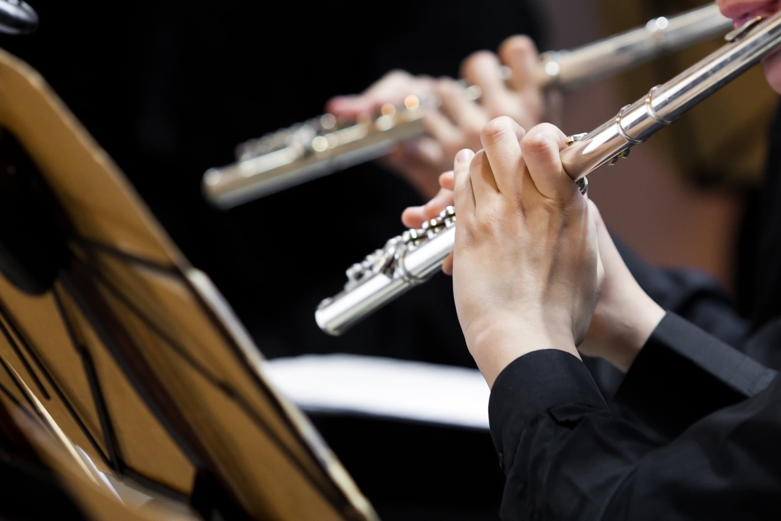 Just Ensemble. Corps