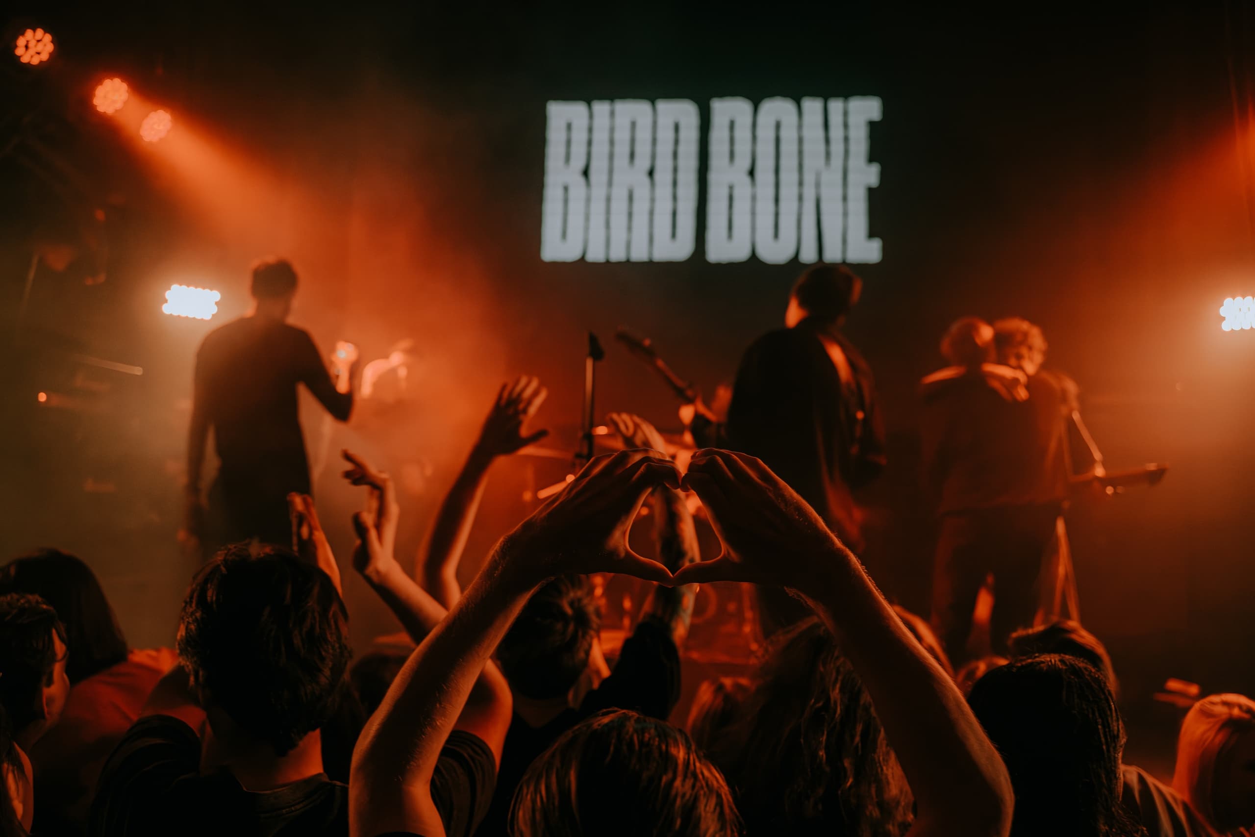 Bird Bone, Форест Фаер